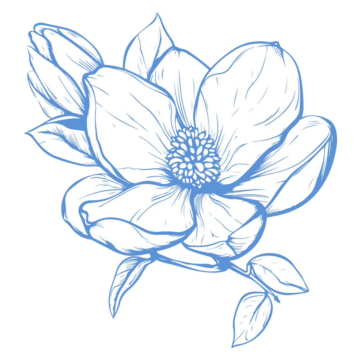 Développe ton intelligence émotionelle